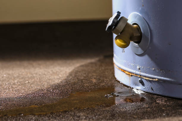 Best Flood restoration services  in Hamilton, MT