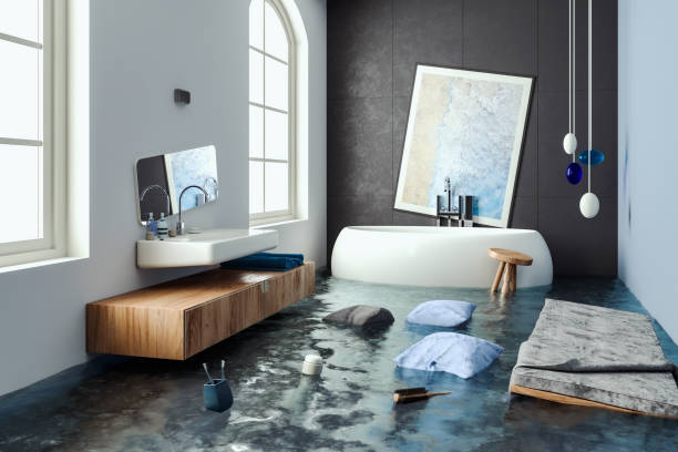 Best Carpet water damage restoration  in Hamilton, MT