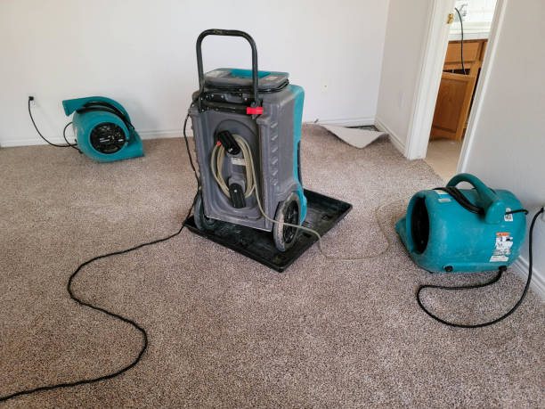 Best Water damage restoration near me  in Hamilton, MT