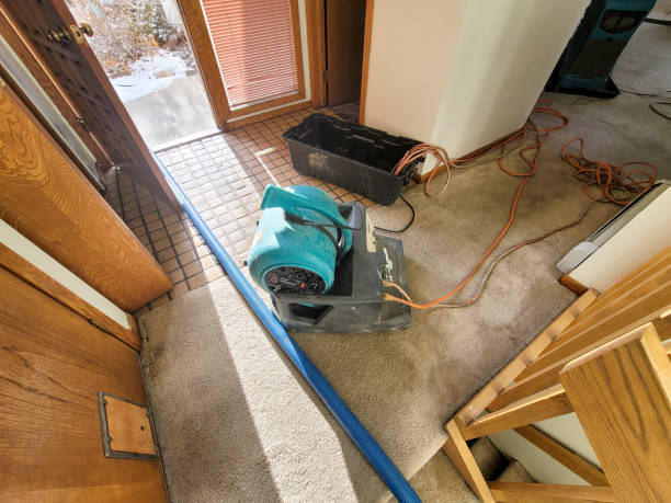 Best Emergency water extraction  in Hamilton, MT