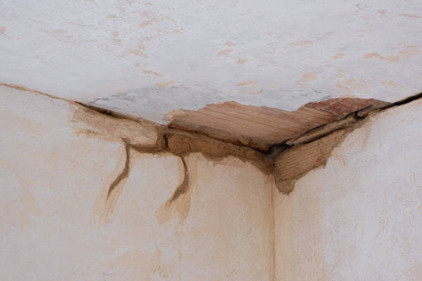 Reliable MT Water damage restoration Solutions