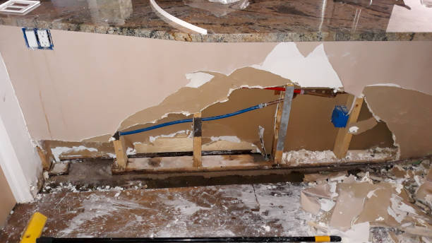 Best Water damage mitigation services  in Hamilton, MT