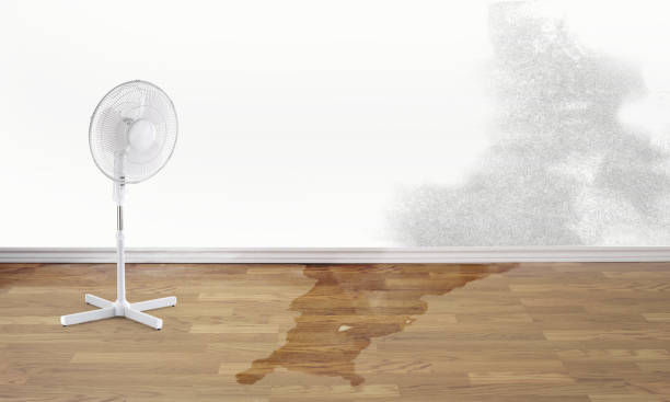 Best Sewage cleanup and water damage restoration  in Hamilton, MT