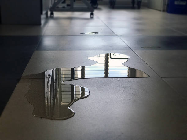 Best Water damage cleanup near me  in Hamilton, MT