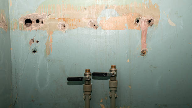 Best Basement water damage restoration  in Hamilton, MT