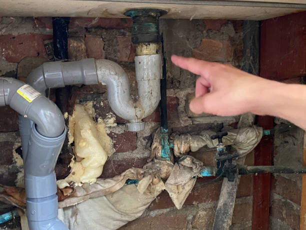 Best Professional water damage repair  in Hamilton, MT